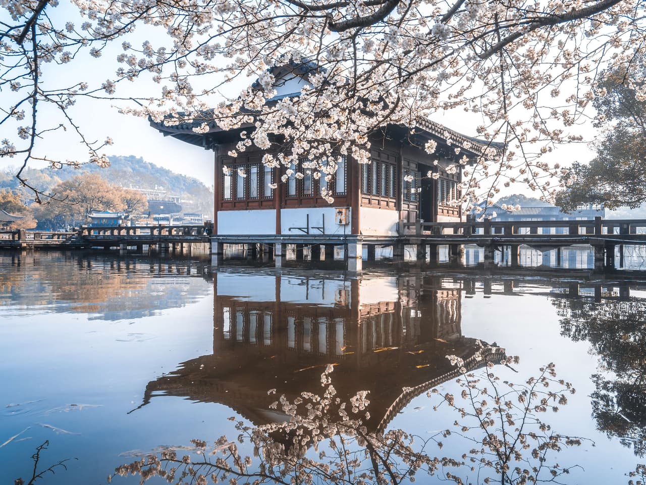 杭州西湖春日盛景