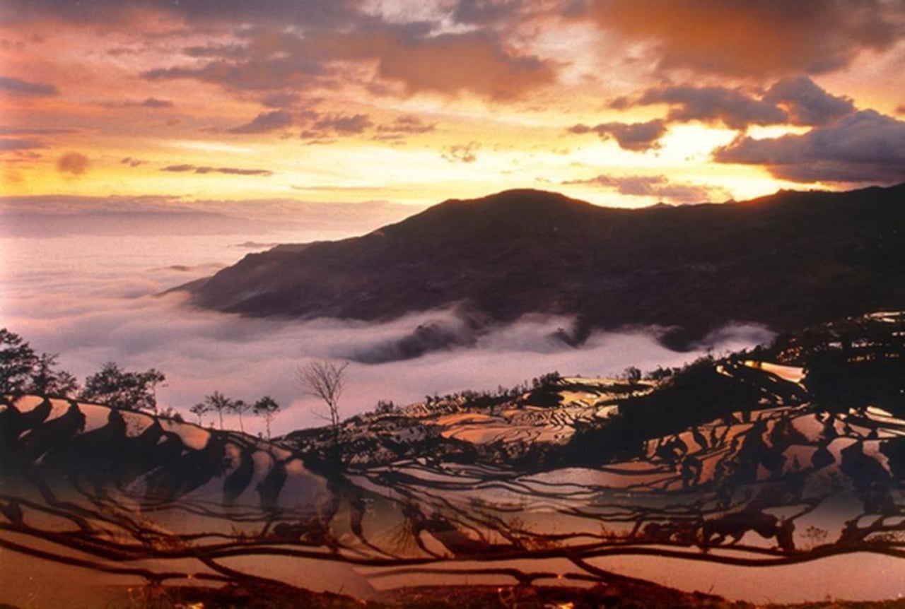 Kunming 3-Day Tour Guide: Exploring Honghe Terraces and Ancient City