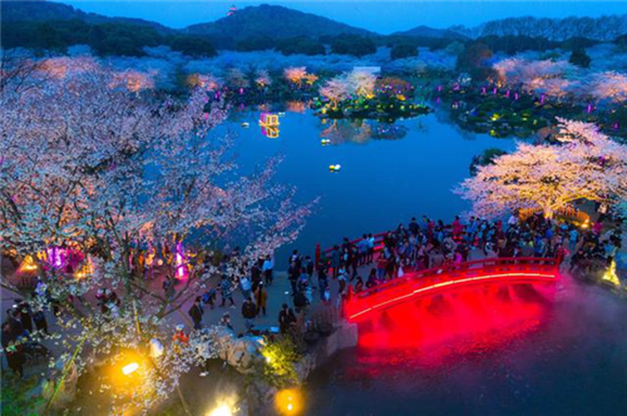 武汉东湖樱花园