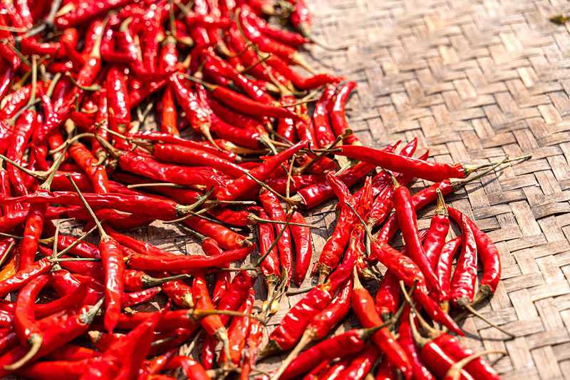 Spicy China: Ranking of Spicy Food Consumption in Chinese Provinces and Recommendations for Spicy Dishes