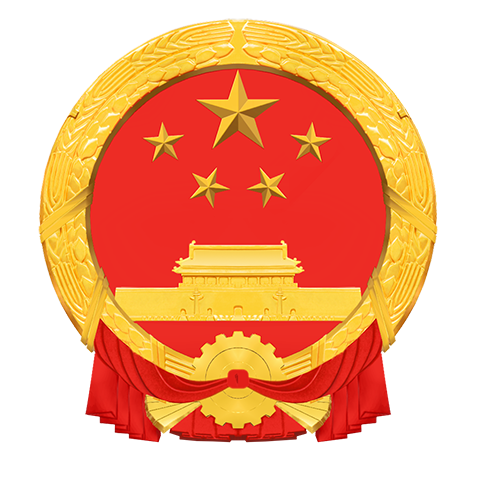 中国国家移民管理局(NIA)