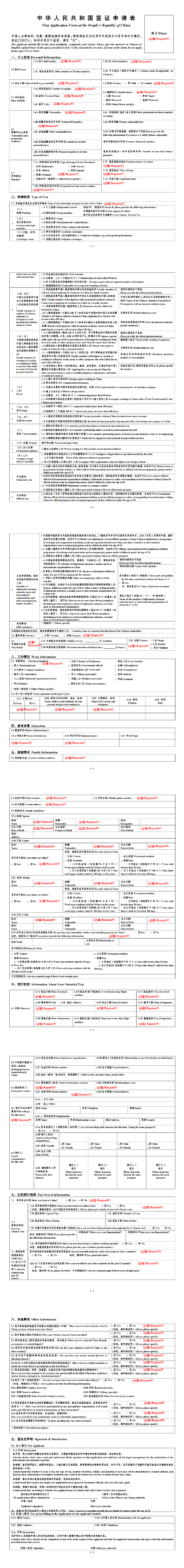 签证申请表格示例